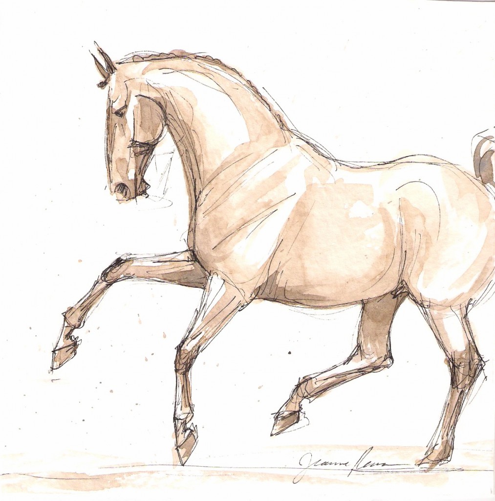 Watercolor and ink sketch in shades of brown of a warmblood dressage horse performing a dramatic flying lead change.