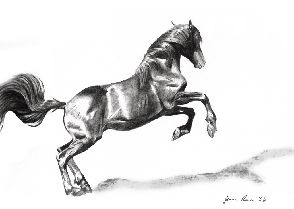 Water soluble graphite drawing of a powerful horse launching forward.